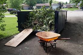 Yard Debris Removal example 1